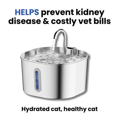 PurrFilter® Stainless Steel Filtered Water Fountain