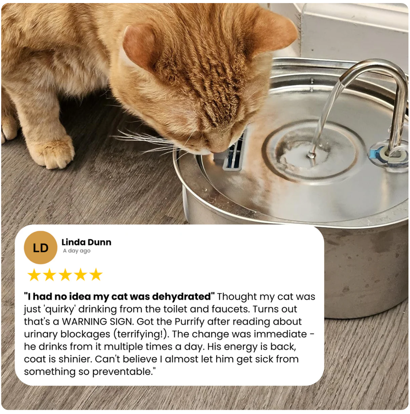 PurrFilter® Stainless Steel Filtered Water Fountain