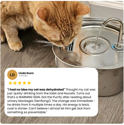 PurrFilter® Stainless Steel Filtered Water Fountain