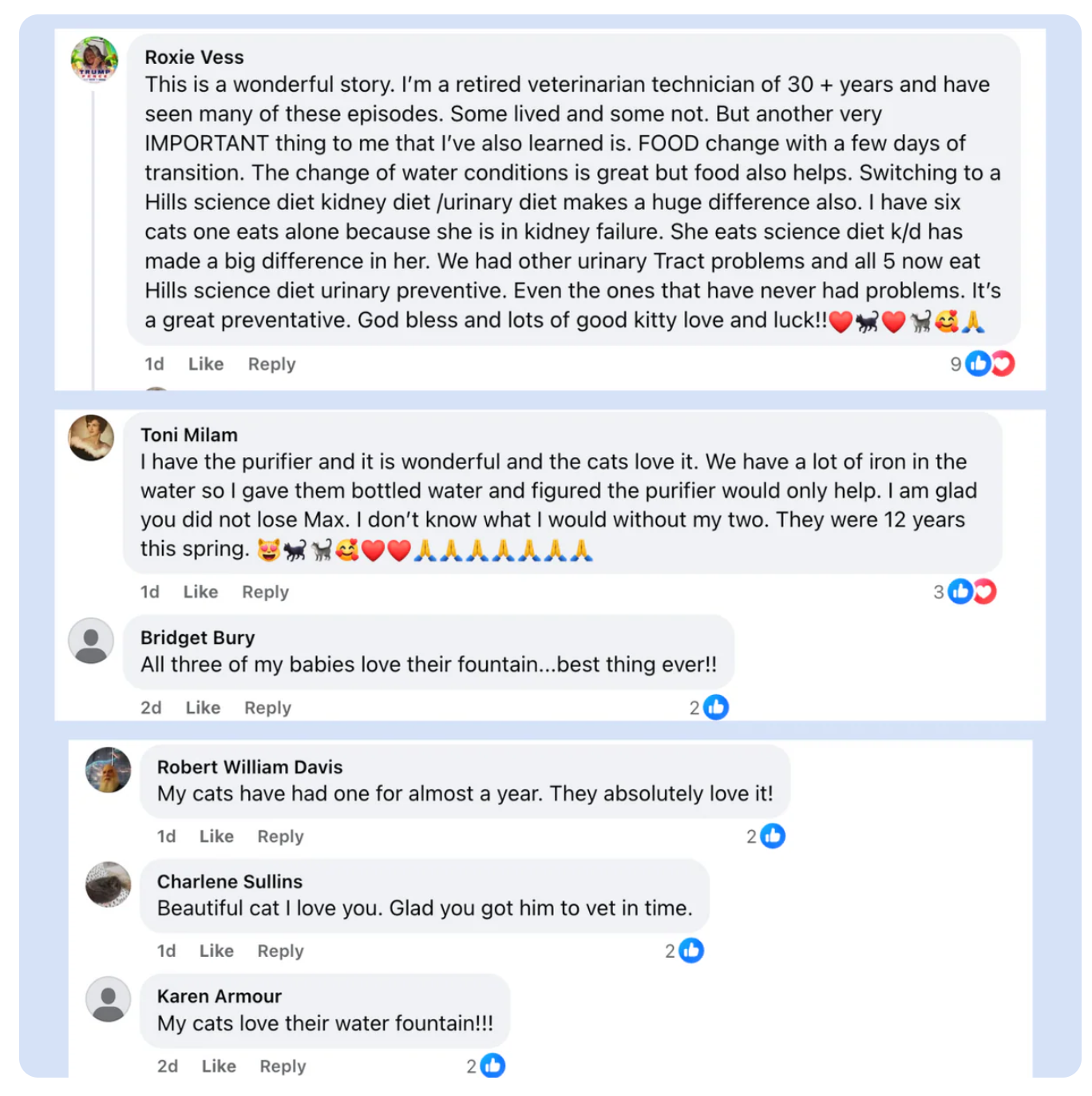 PurrFilter® Stainless Steel Filtered Water Fountain