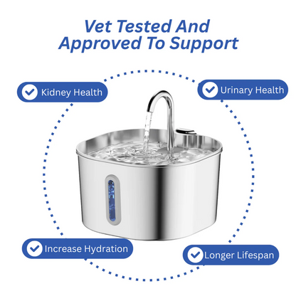 PurrFilter® Stainless Steel Filtered Water Fountain